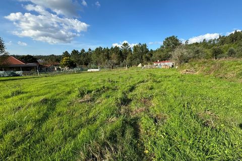 Villa i Pombal, Leiria, Pombal - € 32.000 | Ref: C0381-00688 - foto 14