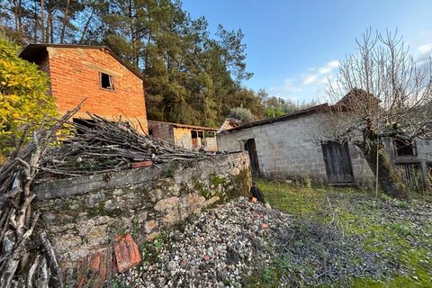 Villa i Pombal, Leiria, Pombal - € 58.000 | Ref: C0381-00698 - foto 5