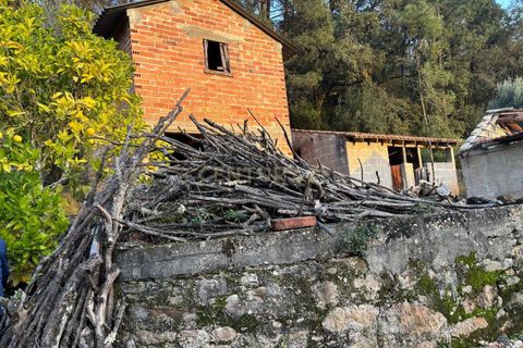 Villa i Pombal, Leiria, Pombal - € 58.000 | Ref: C0381-00698 - foto 4