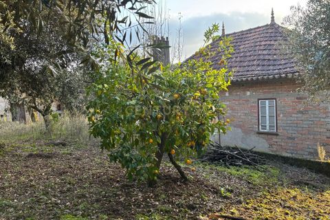 Villa i Pombal, Leiria, Pombal - € 58.000 | Ref: C0381-00698 - foto 2