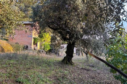 Villa i Pombal, Leiria, Pombal - € 58.000 | Ref: C0381-00698 - foto 6