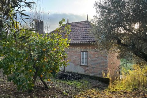 Villa i Pombal, Leiria, Pombal - € 58.000 | Ref: C0381-00698 - foto 1