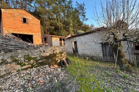 Villa i Pombal, Leiria, Pombal - € 58.000 | Ref: C0381-00698 - foto 7