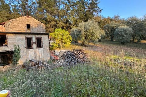 Villa i Pombal, Leiria, Pombal - € 58.000 | Ref: C0381-00698 - foto 8