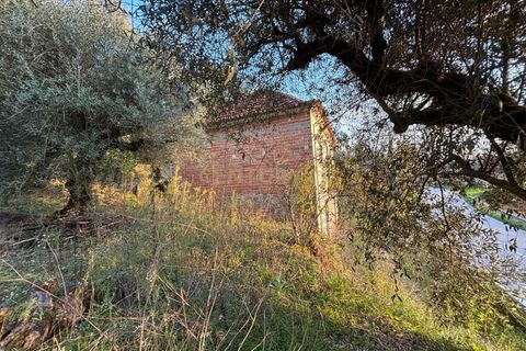 Villa i Pombal, Leiria, Pombal - € 58.000 | Ref: C0381-00698 - foto 9