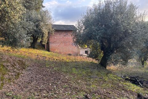 Villa i Pombal, Leiria, Pombal - € 58.000 | Ref: C0381-00698 - foto 10