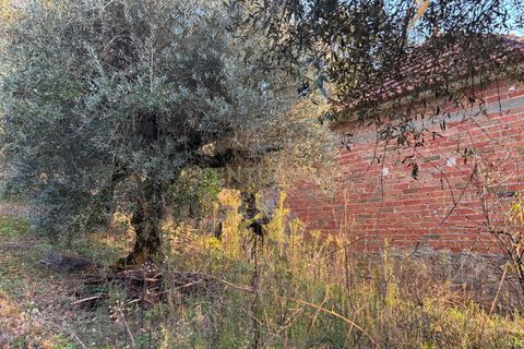 Villa i Pombal, Leiria, Pombal - € 58.000 | Ref: C0381-00698 - foto 11