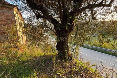 Villa i Pombal, Leiria, Pombal - € 58.000 | Ref: C0381-00698 - foto 12