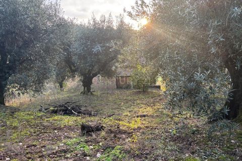Villa i Pombal, Leiria, Pombal - € 58.000 | Ref: C0381-00698 - foto 19