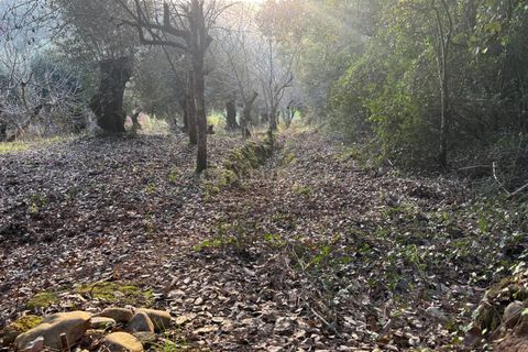 Villa i Pombal, Leiria, Pombal - € 58.000 | Ref: C0381-00698 - foto 20