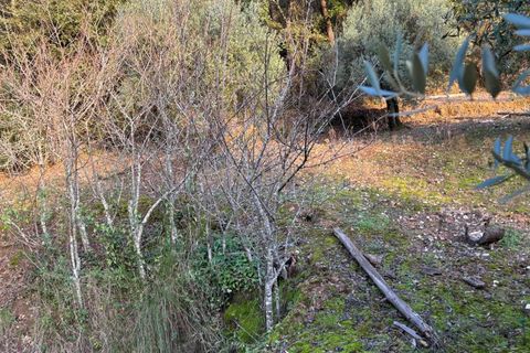 Villa i Pombal, Leiria, Pombal - € 58.000 | Ref: C0381-00698 - foto 21