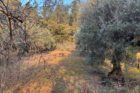 Villa i Pombal, Leiria, Pombal - € 58.000 | Ref: C0381-00698 - foto 23