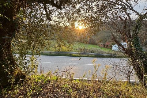 Villa i Pombal, Leiria, Pombal - € 58.000 | Ref: C0381-00698 - foto 24