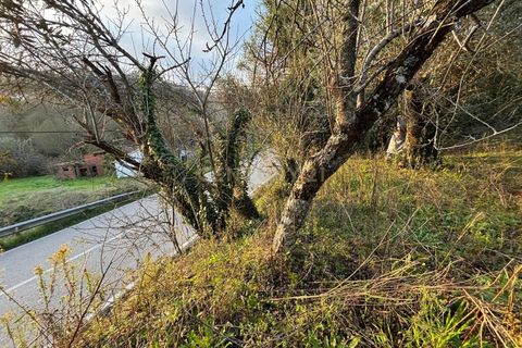 Villa i Pombal, Leiria, Pombal - € 58.000 | Ref: C0381-00698 - foto 25