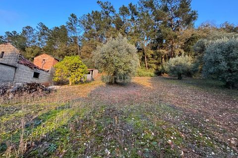 Villa i Pombal, Leiria, Pombal - € 58.000 | Ref: C0381-00698 - foto 26