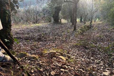 Villa i Pombal, Leiria, Pombal - € 58.000 | Ref: C0381-00698 - foto 28