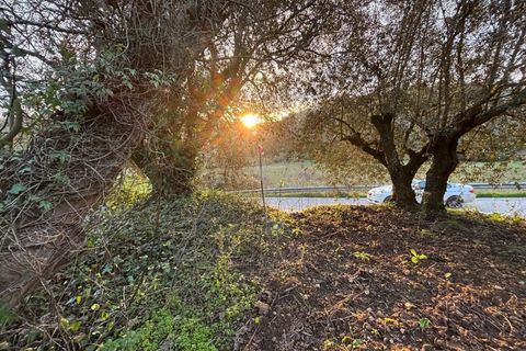 Villa i Pombal, Leiria, Pombal - € 58.000 | Ref: C0381-00698 - foto 29