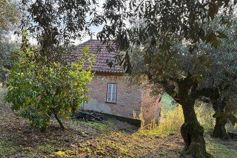 Villa i Pombal, Leiria, Pombal - € 58.000 | Ref: C0381-00698 - foto 31
