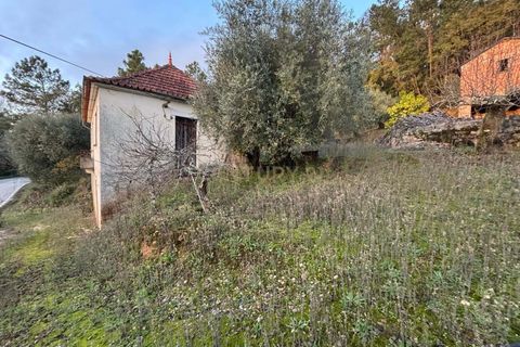 Villa i Pombal, Leiria, Pombal - € 58.000 | Ref: C0381-00698 - foto 32