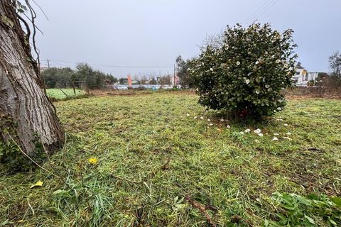 Villa i Pombal, Leiria, Pombal - € 60.000 | Ref: C0381-00695 - foto 16
