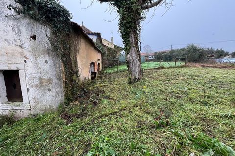 Villa i Pombal, Leiria, Pombal - € 60.000 | Ref: C0381-00695 - foto 20