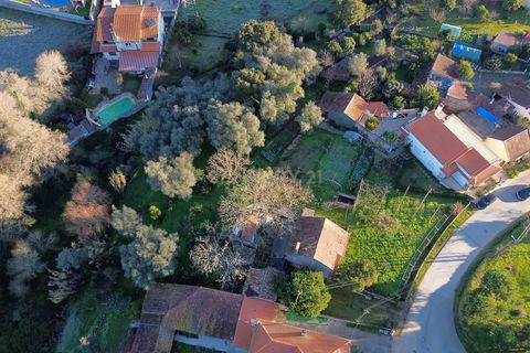 Villa i Pombal, Leiria, Pombal - € 275.000 | Ref: C0381-00712 - foto 11