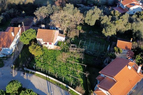 Villa i Pombal, Leiria, Pombal - € 275.000 | Ref: C0381-00712 - foto 12