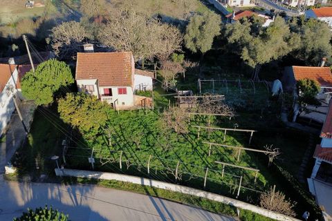 Villa i Pombal, Leiria, Pombal - € 275.000 | Ref: C0381-00712 - foto 13