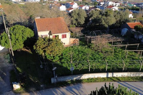Villa i Pombal, Leiria, Pombal - € 275.000 | Ref: C0381-00712 - foto 14