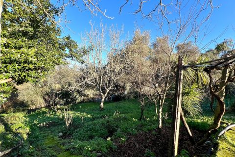 Villa i Pombal, Leiria, Pombal - € 275.000 | Ref: C0381-00712 - foto 15