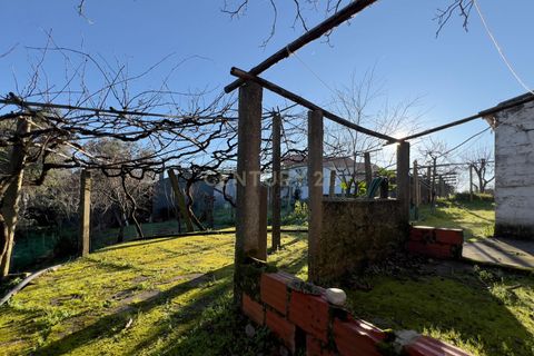 Villa i Pombal, Leiria, Pombal - € 275.000 | Ref: C0381-00712 - foto 16
