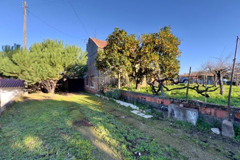 Villa i Pombal, Leiria, Pombal - € 275.000 | Ref: C0381-00712 - foto 22