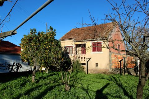 Villa i Pombal, Leiria, Pombal - € 275.000 | Ref: C0381-00712 - foto 23
