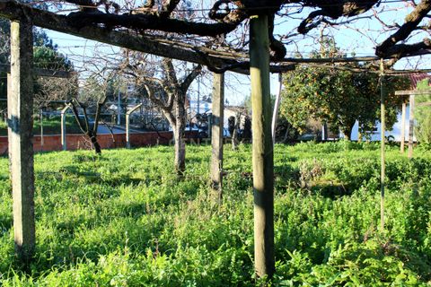 Villa i Pombal, Leiria, Pombal - € 275.000 | Ref: C0381-00712 - foto 27