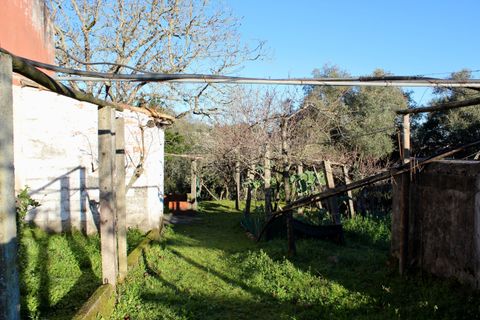 Villa i Pombal, Leiria, Pombal - € 275.000 | Ref: C0381-00712 - foto 28