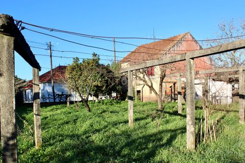 Villa i Pombal, Leiria, Pombal - € 275.000 | Ref: C0381-00712 - foto 30