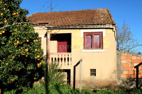 Villa i Pombal, Leiria, Pombal - € 275.000 | Ref: C0381-00712 - foto 31