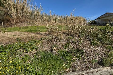Helårsgrund i Pombal, Leiria, Pombal - € 43.000 | Ref: C0381-00713 - foto 3