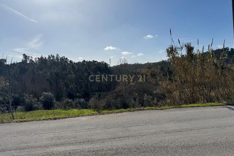 Helårsgrund i Pombal, Leiria, Pombal - € 43.000 | Ref: C0381-00713 - foto 4