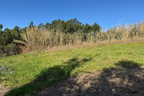 Helårsgrund i Pombal, Leiria, Pombal - € 43.000 | Ref: C0381-00713 - foto 8