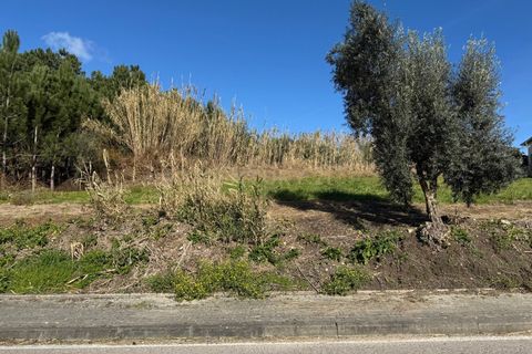 Helårsgrund i Pombal, Leiria, Pombal - € 43.000 | Ref: C0381-00713 - foto 9