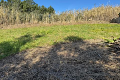 Helårsgrund i Pombal, Leiria, Pombal - € 43.000 | Ref: C0381-00713 - foto 15