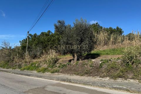 Helårsgrund i Pombal, Leiria, Pombal - € 43.000 | Ref: C0381-00713 - foto 17