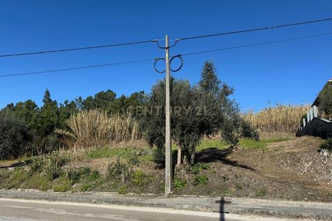 Helårsgrund i Pombal, Leiria, Pombal - € 43.000 | Ref: C0381-00713 - foto 19