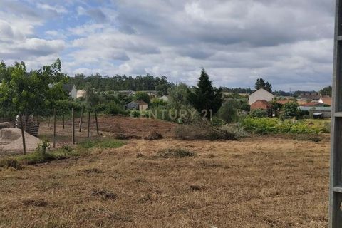 Terra a Soure, Coimbra, Soure - € 12.000 | Ref: C0381-00602 - foto 2
