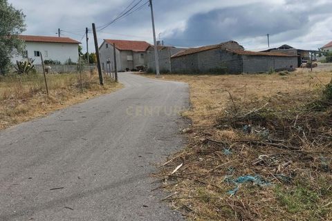 Terra a Soure, Coimbra, Soure - € 12.000 | Ref: C0381-00602 - foto 3