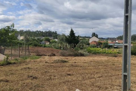 Terra a Soure, Coimbra, Soure - € 12.000 | Ref: C0381-00602 - foto 4