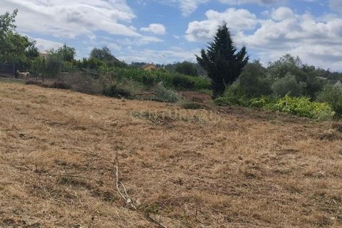 Terra a Soure, Coimbra, Soure - € 12.000 | Ref: C0381-00602 - foto 5