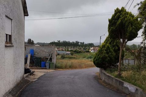 Terra a Soure, Coimbra, Soure - € 12.000 | Ref: C0381-00602 - foto 6