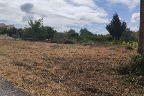 Terra a Soure, Coimbra, Soure - € 12.000 | Ref: C0381-00602 - foto 7